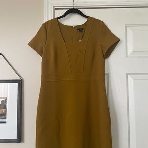 Ann Taylor Dress NWT